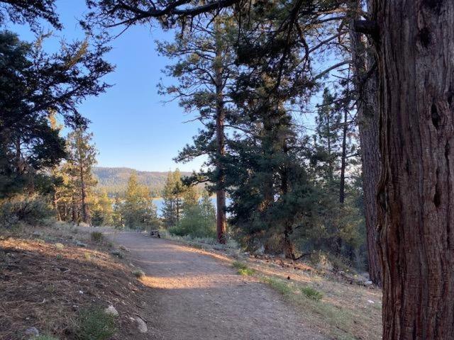The Fox Paw Βίλα Big Bear Lake Εξωτερικό φωτογραφία